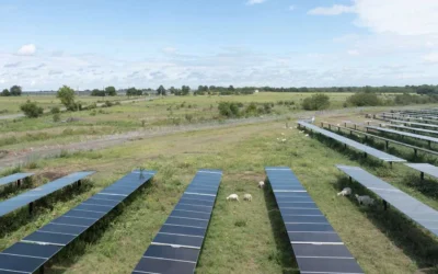 Ørsted Uses Safe Site Check In for Construction Safety at Opdyke Solar Farm in Texas